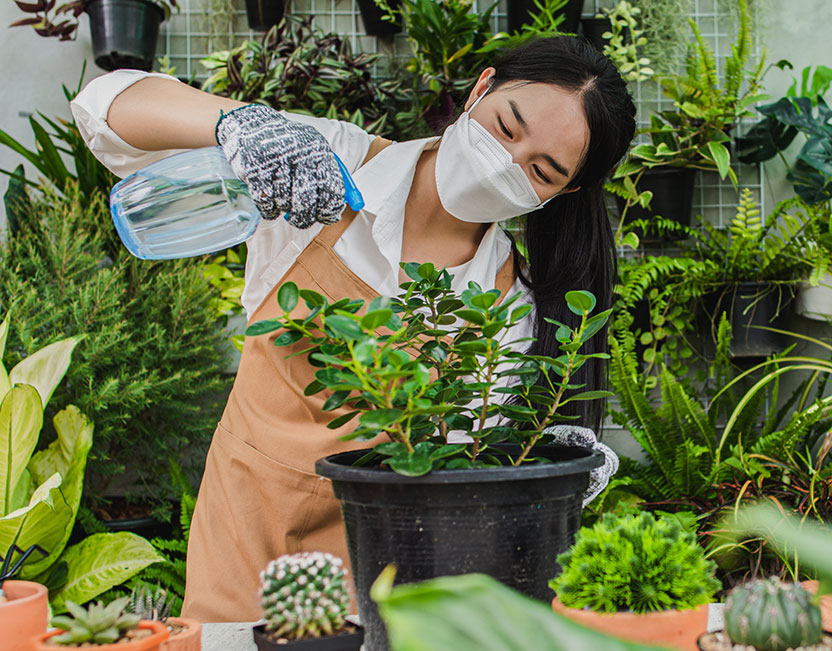 Rolax Landscaping Reading team experience in landscape and gardening services