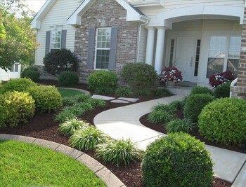 Enhance Your Property Value with Strategic Tree Installation.