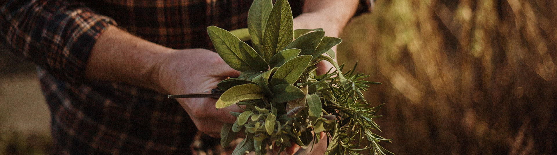 Artificial turf installation in Reading, PA