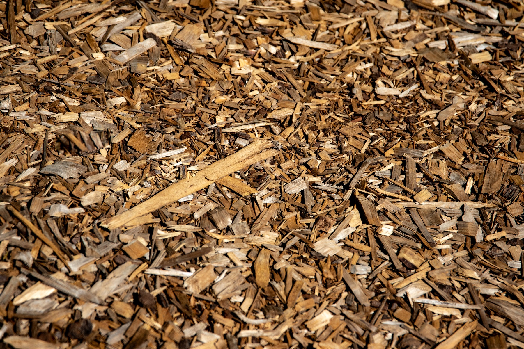 Fresh mulch landscape beds at a Reading Pennsylvania home