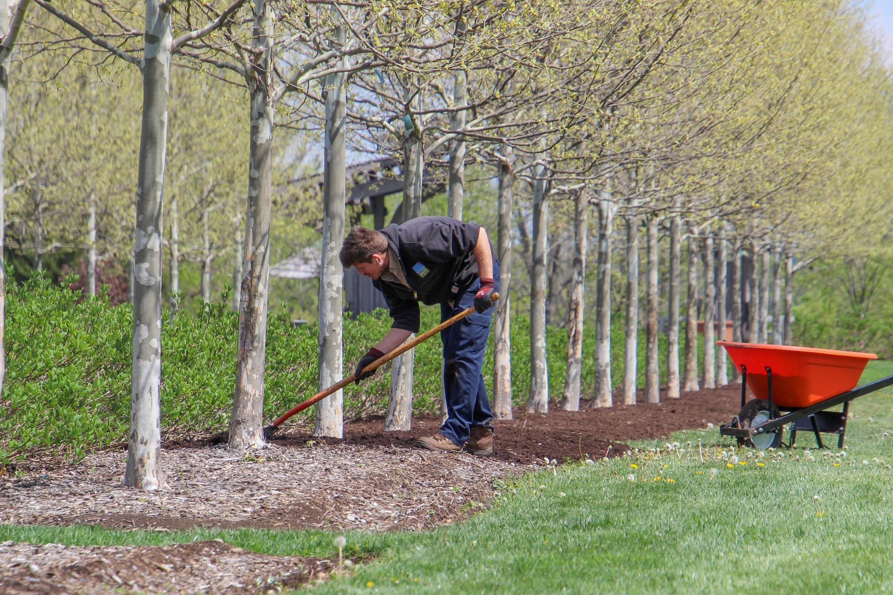 Spring lawn cleanup and landscaping in Reading Pennsylvania